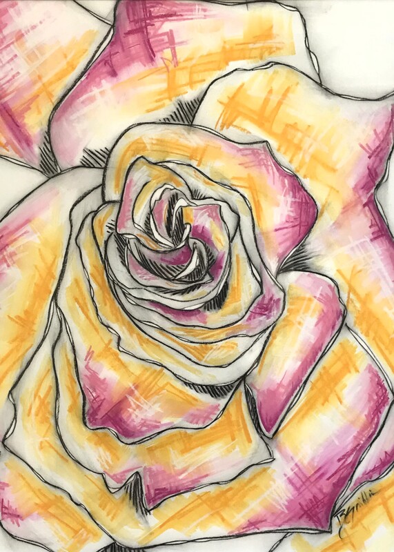 yellow rose, pink rose, rose, watercolor, charcoal