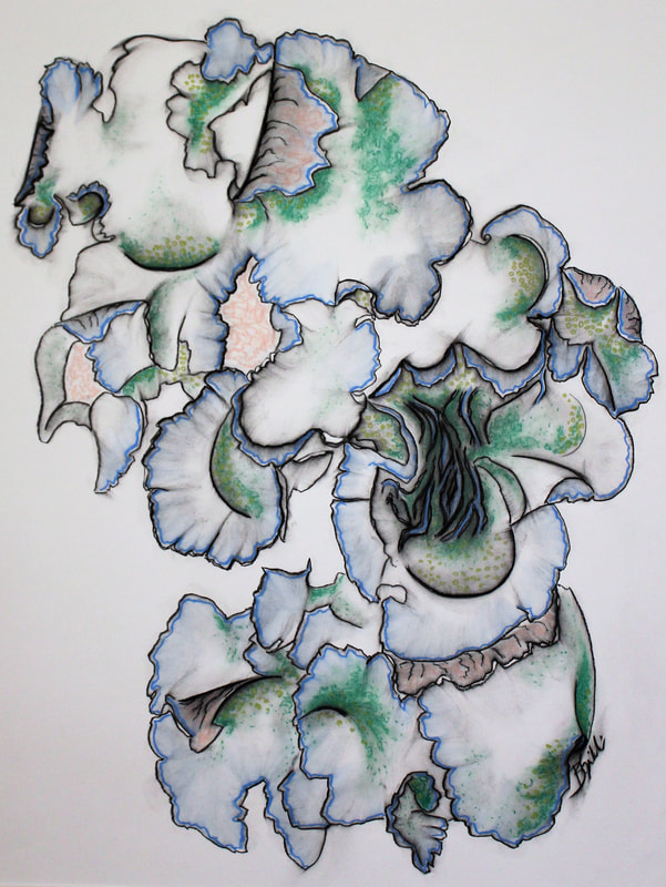 Blue and green lichen drawing in charcoal, pastel and watercolor on paper.