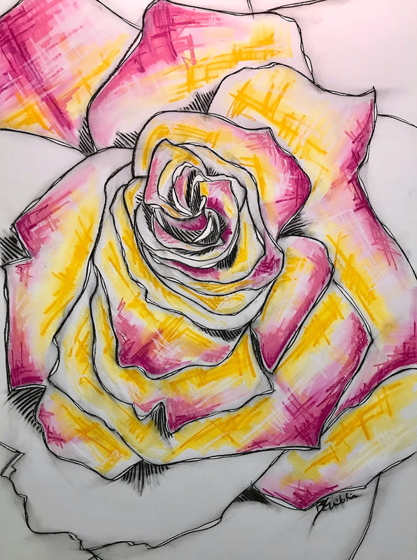 Bright pink and yellow orange rose drawing in charcoal and pastel on paper. 